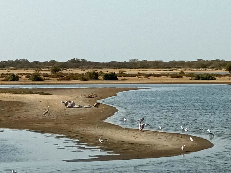 Maroc  2023 03 05-20230301 165045