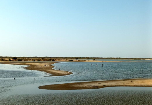 Maroc  2023 03 05-20230301 165034