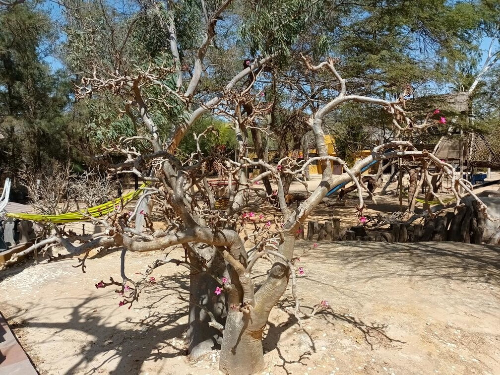 Maroc  2023 03 05-20230302 152951