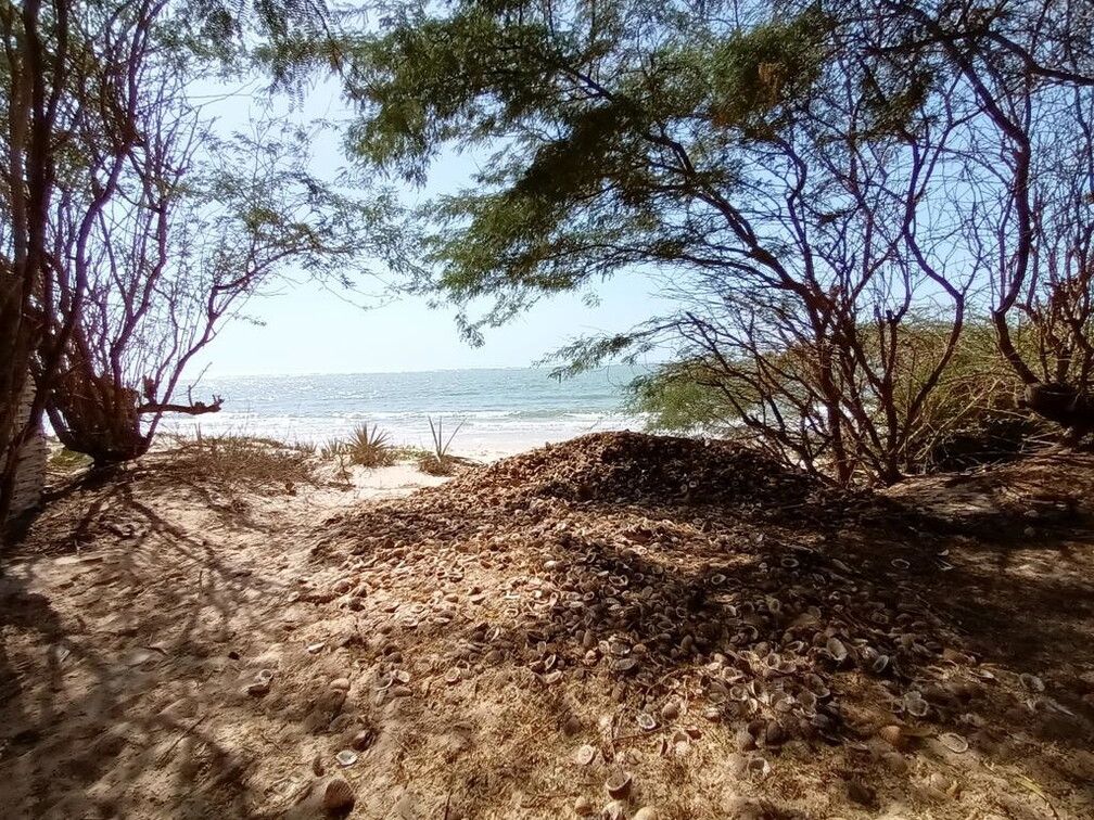 Maroc  2023 03 05-20230302 153029