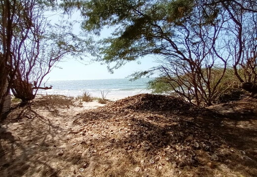 Maroc  2023 03 05-20230302 153029