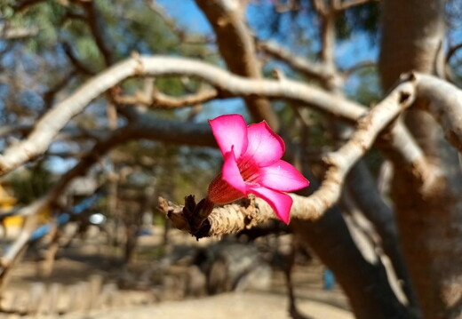 Maroc  2023 03 05-20230302 165719