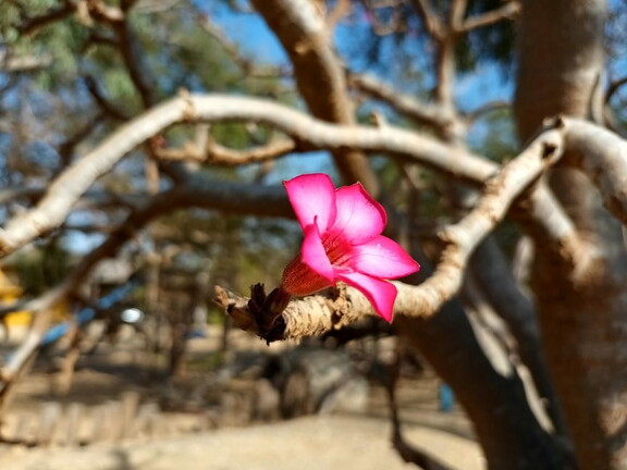 Maroc  2023 03 05-20230302 165719