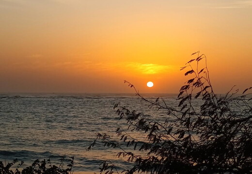 Maroc  2023 03 05-20230302 190843