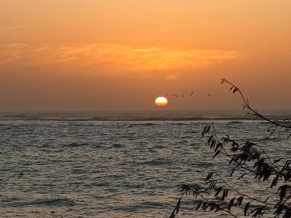 Maroc  2023 03 05-20230302 191058