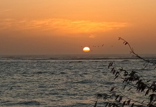 Maroc  2023 03 05-20230302 191058