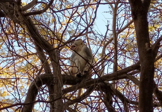 06 Mit dem Fahrrad von Nouakchott in Mauretanien bis Senegal