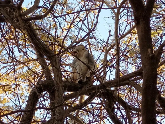 Maroc  2023 03 05-20230303 075447