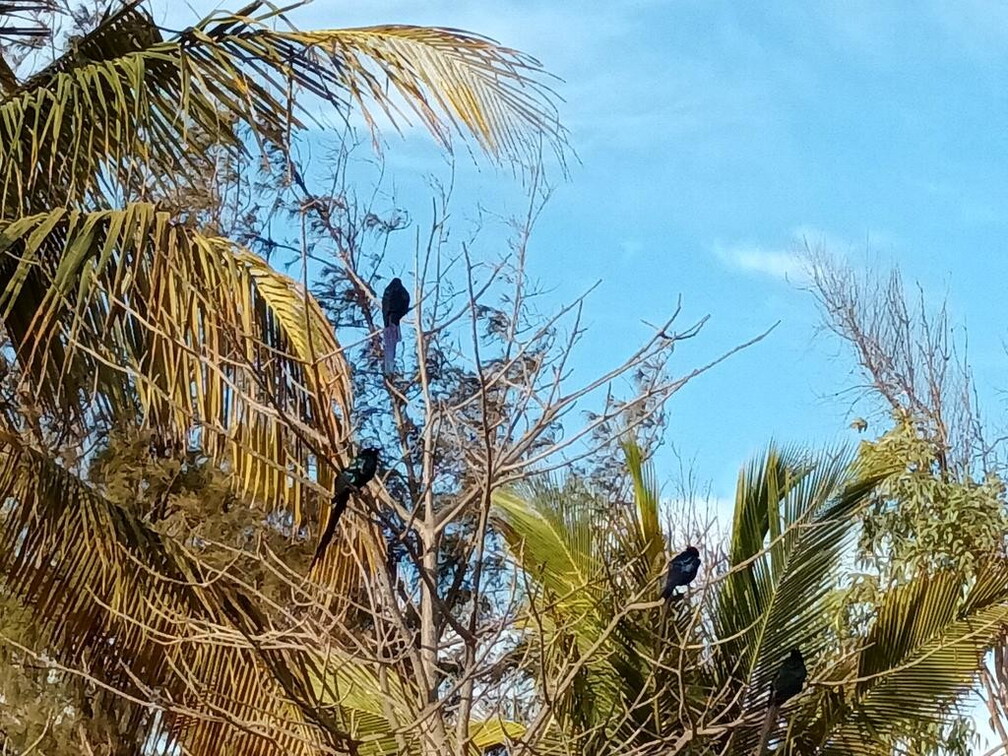 Maroc  2023 03 05-20230303 083600