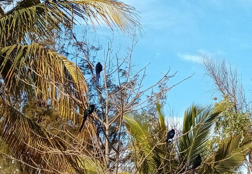 Maroc  2023 03 05-20230303 083600