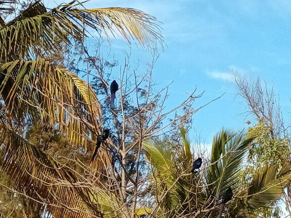 Maroc  2023 03 05-20230303 083600