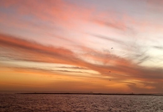 Maroc  2023 03 05-20230303 192137