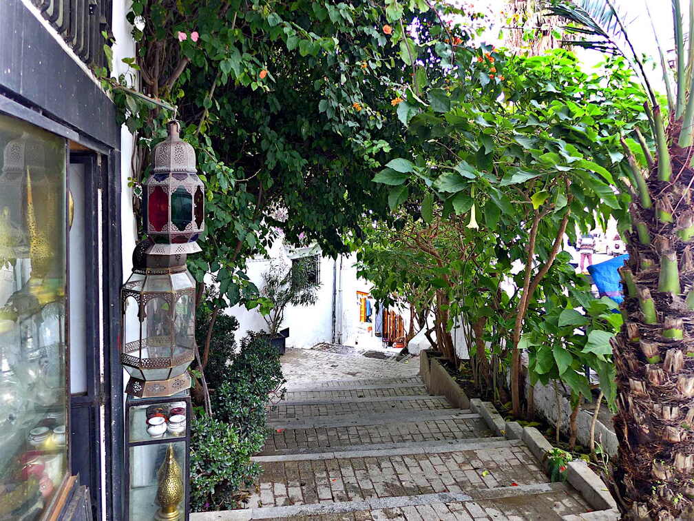 tanger gasse