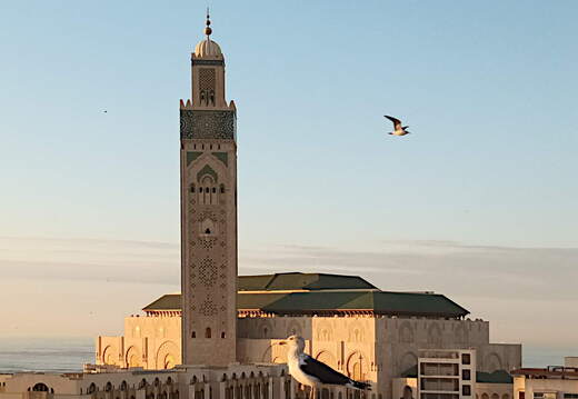 casablanca hassan2 moschee sonnenuntergang
