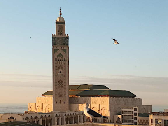 casablanca hassan2 moschee sonnenuntergang