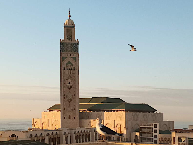 casablanca hassan2 moschee sonnenuntergang