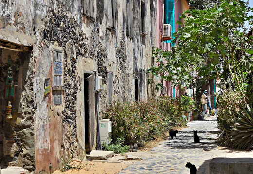 senegal goree gasse4