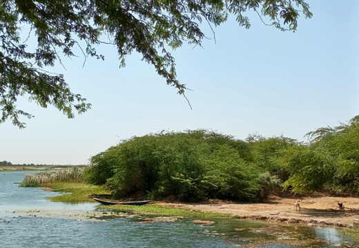 senegalriver