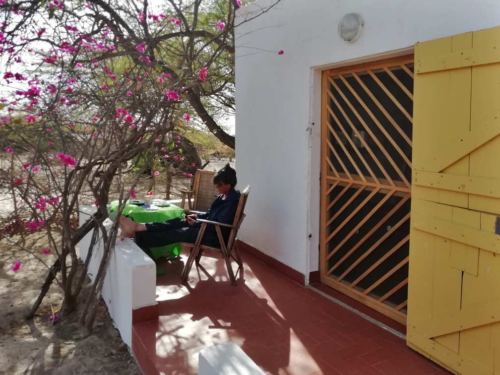 senegal tassinere garten