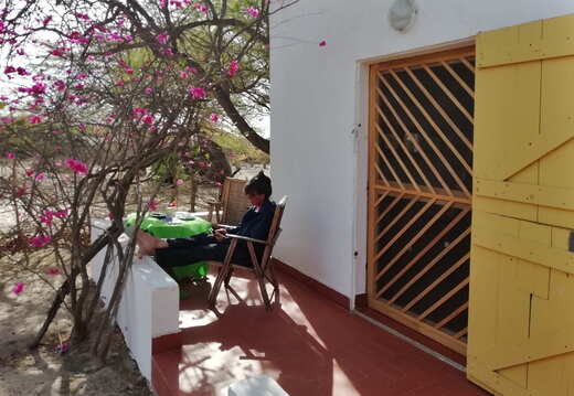 senegal tassinere garten