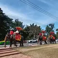 Thailand Ayutthaya Geschichtspark Elefanten Fuehrung