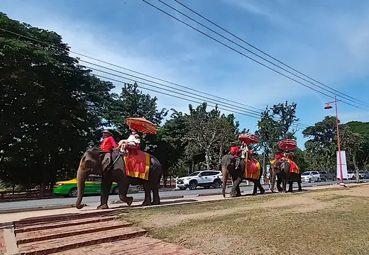 Thailand Ayutthaya Geschichtspark Elefanten Fuehrung