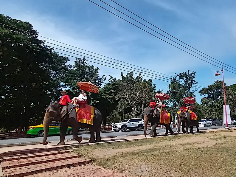 Thailand Ayutthaya Geschichtspark Elefanten Fuehrung