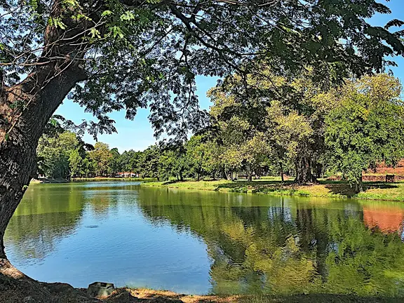 Thailand Ayutthaya Geschichtspark See