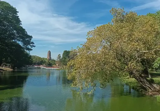 Thailand Ayutthaya Geschichtspark Wat See