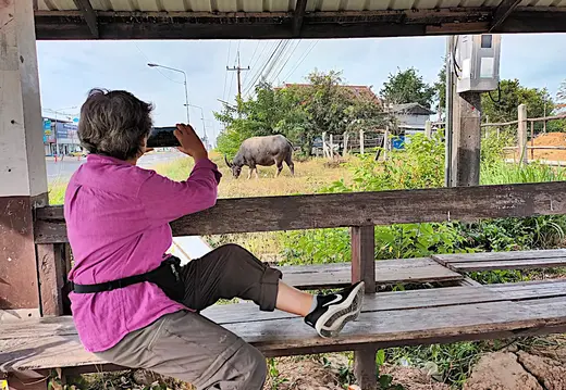 Thailand Isaan Schlotte Foto