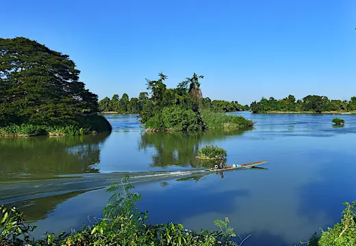 Laos Mekong Don Det Inselwelt