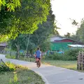 Laos Mekong Don Det Junge Fahrrad