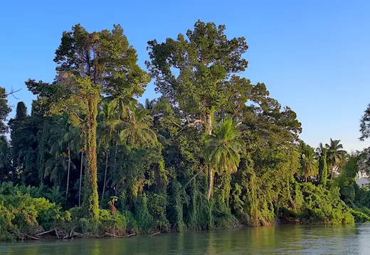 Laos Mekong Don Det Ufer