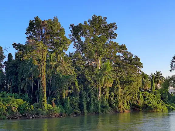 Laos Mekong Don Det Ufer