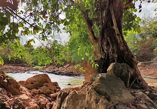 Laos Mekong Don Det Wildbach