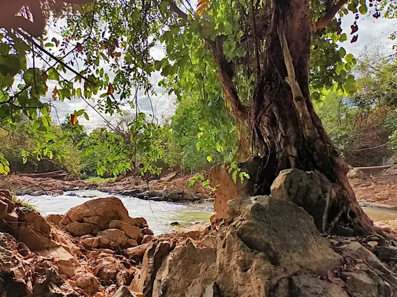 Laos Mekong Don Det Wildbach