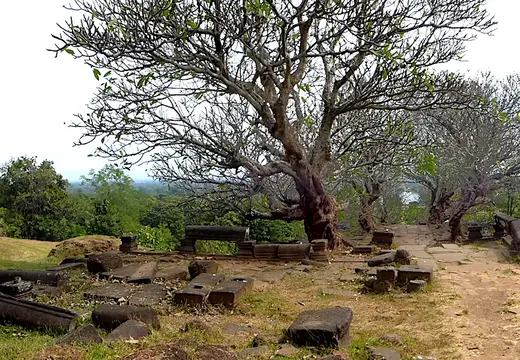 Laos Wat Phu Panorama