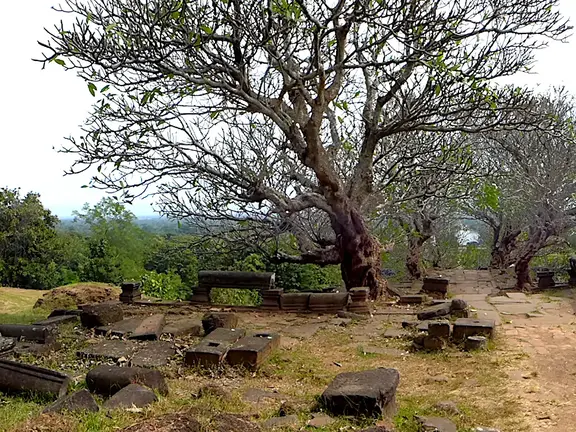 Laos Wat Phu Panorama
