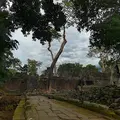 Kambodscha Angkor Tempel Mauerreste