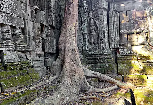 Kambodscha Angkor Tempel Suedoestlich Prasat Baum