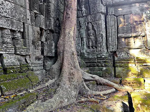 Kambodscha Angkor Tempel Suedoestlich Prasat Baum