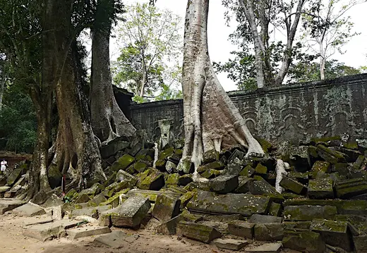 Kambodscha Angkor Tempel TaProhm Mauer Baum