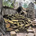 Kambodscha Angkor Tempel TaProhm Steine