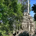 Kambodscha Angkor Tempel Wald Turm
