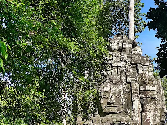 Kambodscha Angkor Tempel Wald Turm