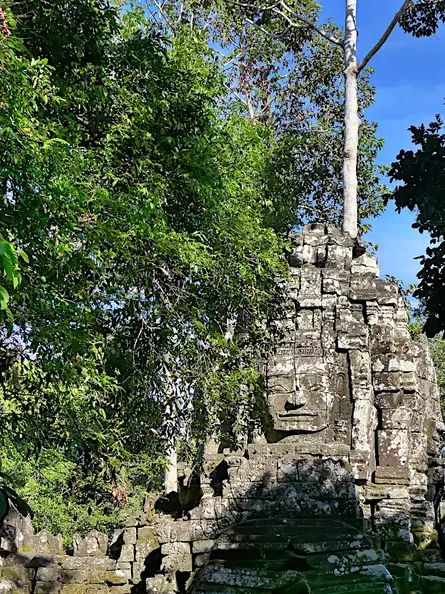 Kambodscha Angkor Tempel Wald Turm
      