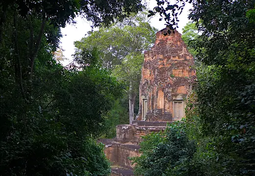 Kambodscha Angkor Tempel Wald Turm2
