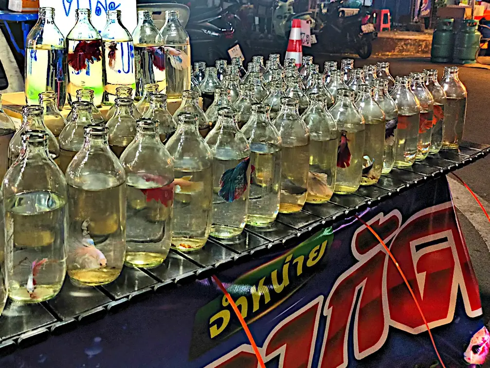 Thailand Provinz Chanthaburi BoRai Nachtmarkt3