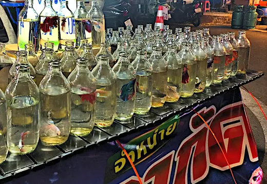 Thailand Provinz Chanthaburi BoRai Nachtmarkt3