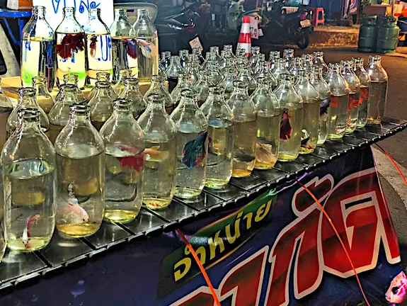 Thailand Provinz Chanthaburi BoRai Nachtmarkt3